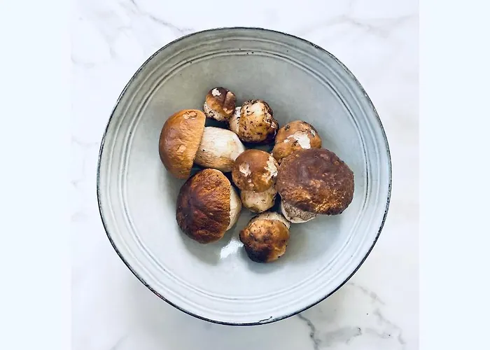 Pizzini Mottarone - Restaurant And 게스트하우스 스트레사