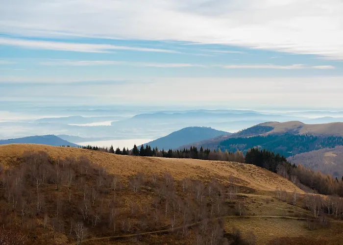 Pizzini Mottarone - Restaurant And